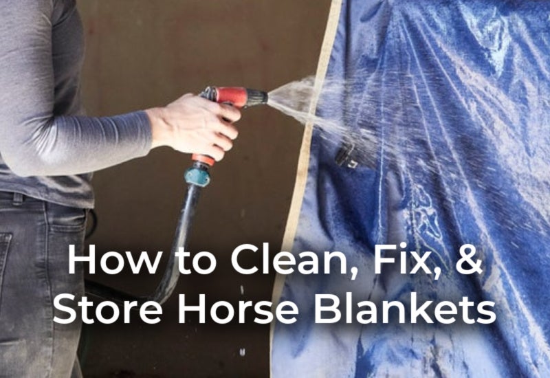 Learn how to clean, store, and fold horse blankets